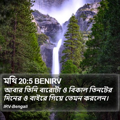 মথি 20:5 BENIRV Bible Verse Image