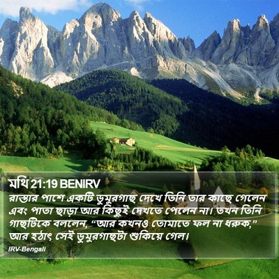 মথি 21:19 BENIRV Bible Verse Image
