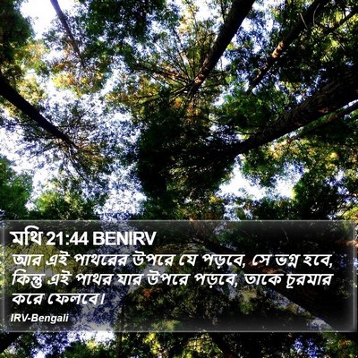 মথি 21:44 BENIRV Bible Verse Image