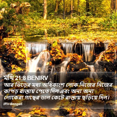 মথি 21:8 BENIRV Bible Verse Image