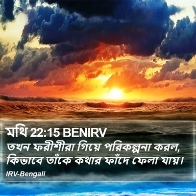 মথি 22:15 BENIRV Bible Verse Image