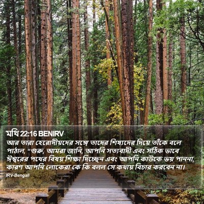 মথি 22:16 BENIRV Bible Verse Image
