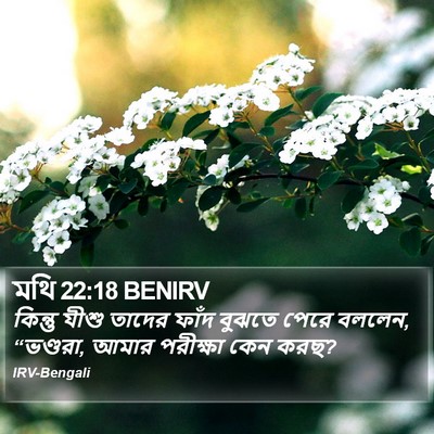 মথি 22:18 BENIRV Bible Verse Image
