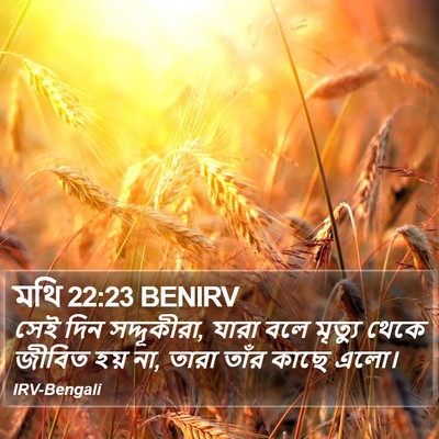 মথি 22:23 BENIRV Bible Verse Image