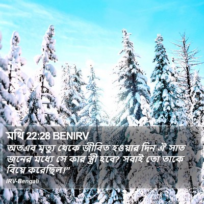 মথি 22:28 BENIRV Bible Verse Image