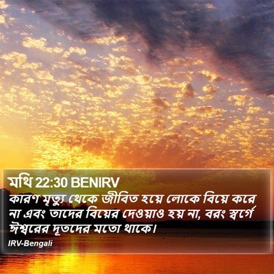 মথি 22:30 BENIRV Bible Verse Image