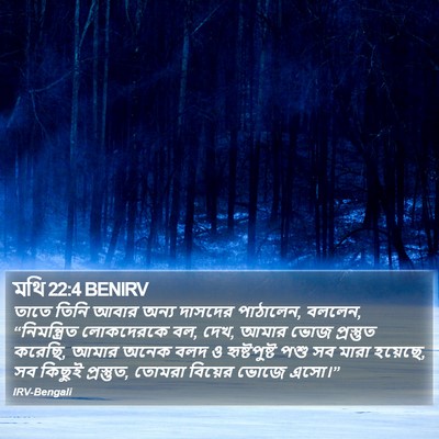 মথি 22:4 BENIRV Bible Verse Image