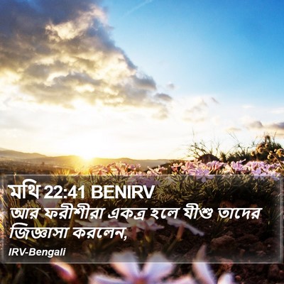 মথি 22:41 BENIRV Bible Verse Image