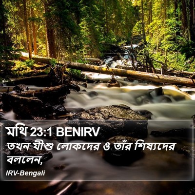মথি 23:1 BENIRV Bible Verse Image