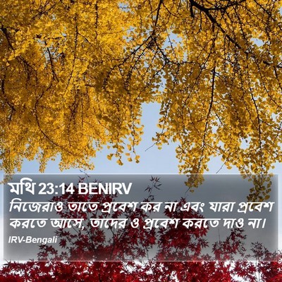 মথি 23:14 BENIRV Bible Verse Image