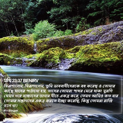 মথি 23:37 BENIRV Bible Verse Image