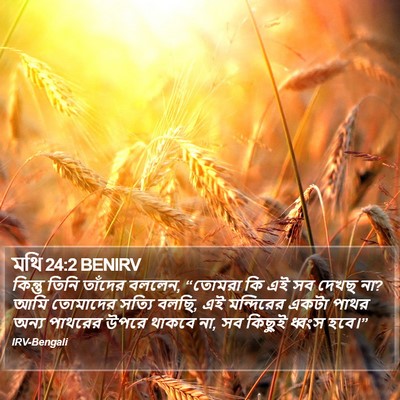 মথি 24:2 BENIRV Bible Verse Image