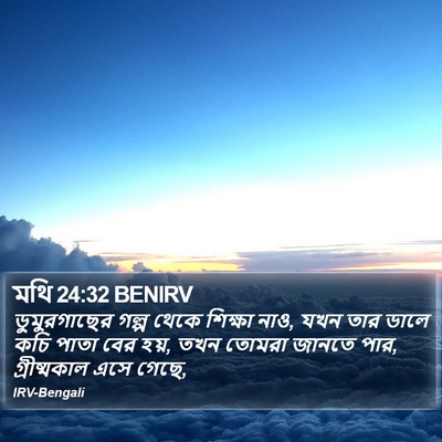 মথি 24:32 BENIRV Bible Verse Image