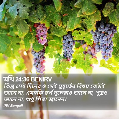 মথি 24:36 BENIRV Bible Verse Image