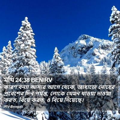 মথি 24:38 BENIRV Bible Verse Image