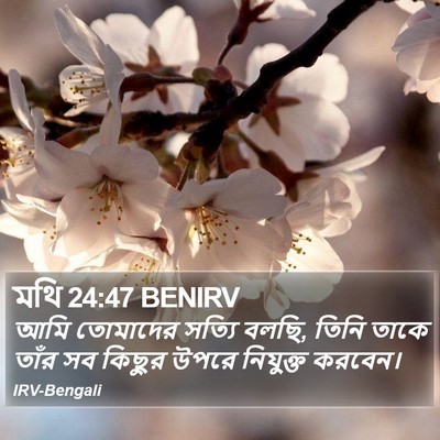 মথি 24:47 BENIRV Bible Verse Image