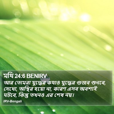 মথি 24:6 BENIRV Bible Verse Image