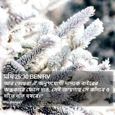 মথি 25:30 BENIRV Bible Verse Image