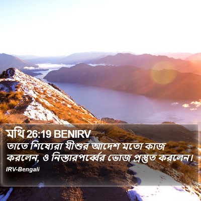 মথি 26:19 BENIRV Bible Verse Image