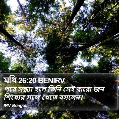 মথি 26:20 BENIRV Bible Verse Image