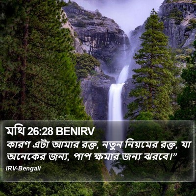 মথি 26:28 BENIRV Bible Verse Image