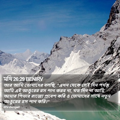 মথি 26:29 BENIRV Bible Verse Image