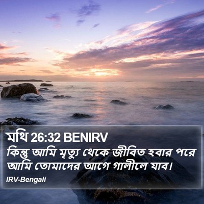 মথি 26:32 BENIRV Bible Verse Image