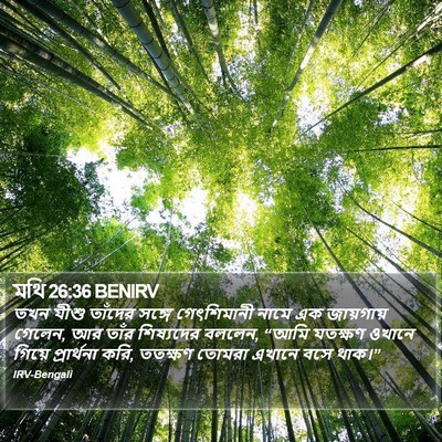 মথি 26:36 BENIRV Bible Verse Image