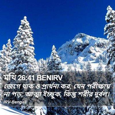 মথি 26:41 BENIRV Bible Verse Image