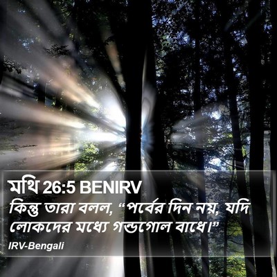 মথি 26:5 BENIRV Bible Verse Image