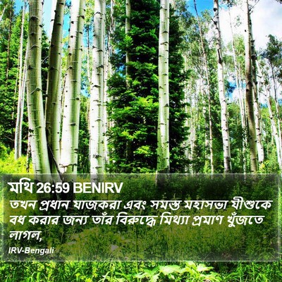 মথি 26:59 BENIRV Bible Verse Image
