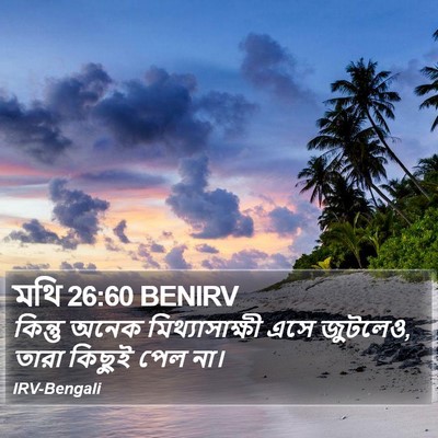 মথি 26:60 BENIRV Bible Verse Image