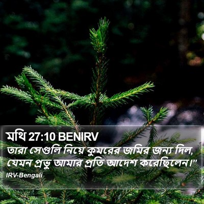 মথি 27:10 BENIRV Bible Verse Image
