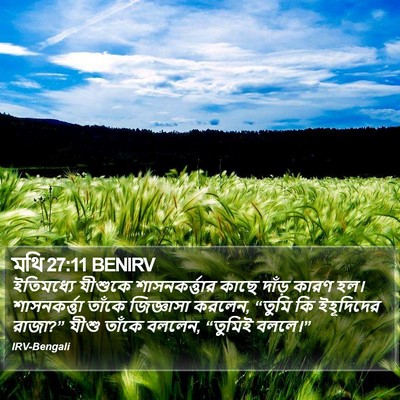 মথি 27:11 BENIRV Bible Verse Image