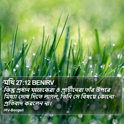মথি 27:12 BENIRV Bible Verse Image