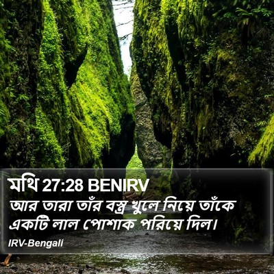 মথি 27:28 BENIRV Bible Verse Image