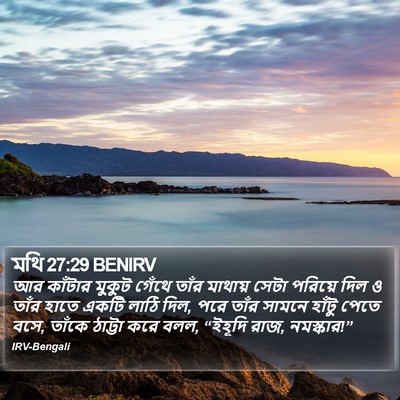 মথি 27:29 BENIRV Bible Verse Image