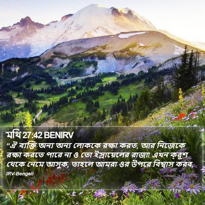 মথি 27:42 BENIRV Bible Verse Image