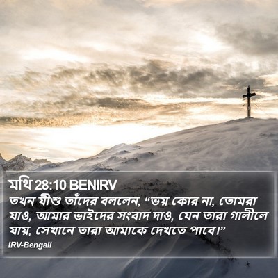 মথি 28:10 BENIRV Bible Verse Image
