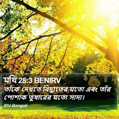 মথি 28:3 BENIRV Bible Verse Image