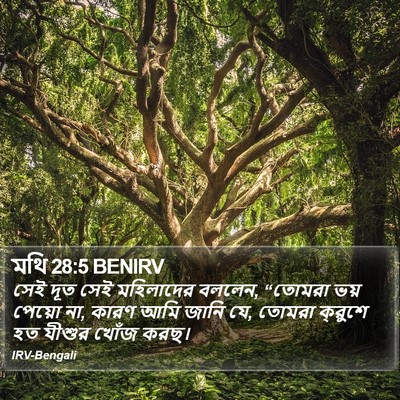 মথি 28:5 BENIRV Bible Verse Image
