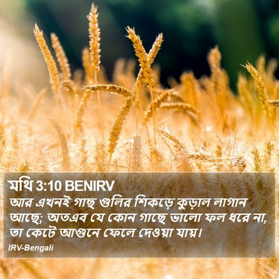 মথি 3:10 BENIRV Bible Verse Image