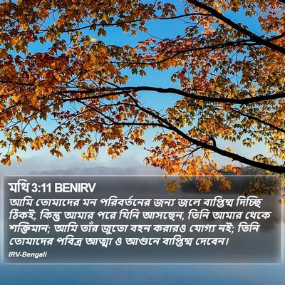 মথি 3:11 BENIRV Bible Verse Image