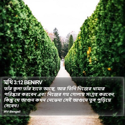 মথি 3:12 BENIRV Bible Verse Image