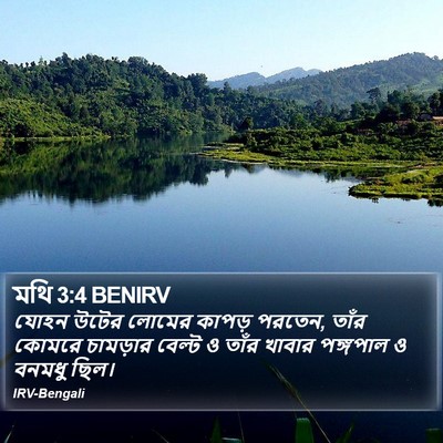 মথি 3:4 BENIRV Bible Verse Image