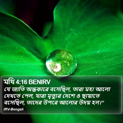 মথি 4:16 BENIRV Bible Verse Image