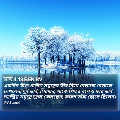 মথি 4:18 BENIRV Bible Verse Image