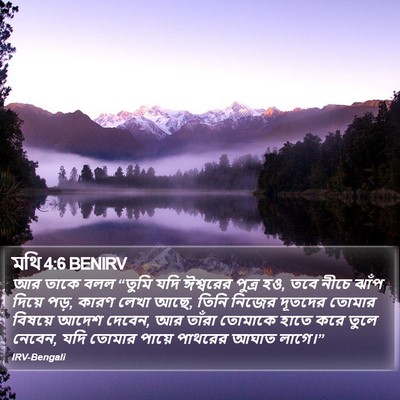 মথি 4:6 BENIRV Bible Verse Image