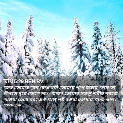 মথি 5:29 BENIRV Bible Verse Image