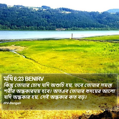 মথি 6:23 BENIRV Bible Verse Image
